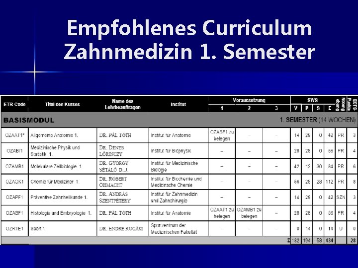 Empfohlenes Curriculum Zahnmedizin 1. Semester 