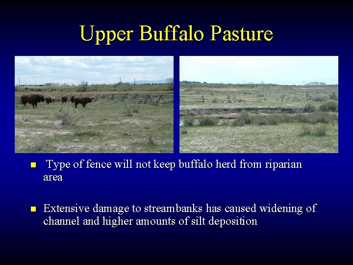 Upper Buffalo Pasture n Type of fence will not keep buffalo herd from riparian