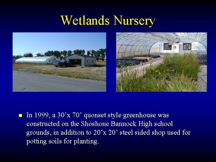 Wetlands Nursery n In 1999, a 30’x 70’ quonset style greenhouse was constructed on