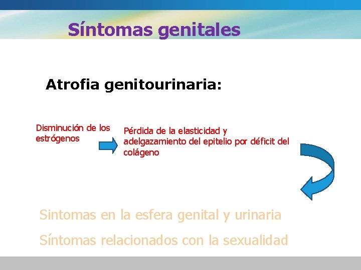 Síntomas genitales Atrofia genitourinaria: Disminución de los estrógenos Pérdida de la elasticidad y adelgazamiento