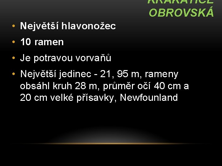 KRAKATICE OBROVSKÁ • Největší hlavonožec • 10 ramen • Je potravou vorvaňů • Největší