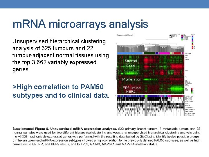 m. RNA microarrays analysis Unsupervised hierarchical clustering analysis of 525 tumours and 22 tumour-adjacent