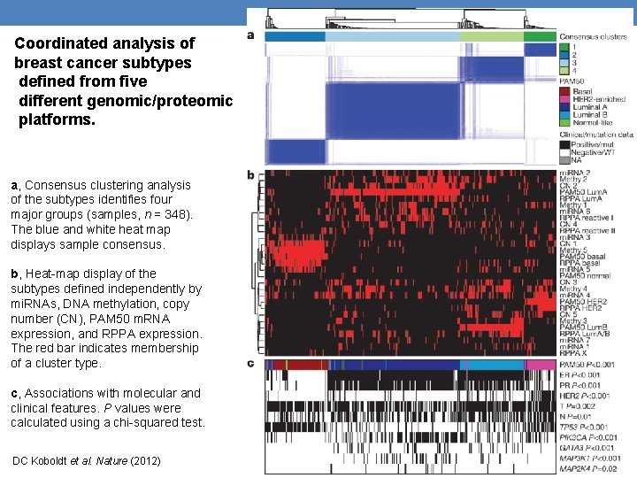 Coordinated analysis of breast cancer subtypes defined from five different genomic/proteomic platforms. a, Consensus