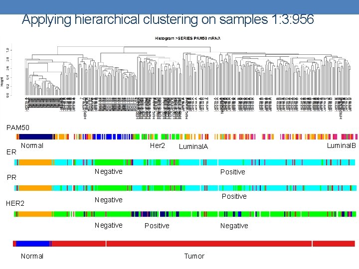 Applying hierarchical clustering on samples 1: 3: 956 PAM 50 ER Normal Her 2