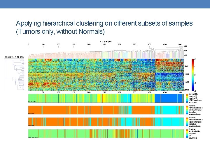Applying hierarchical clustering on different subsets of samples (Tumors only, without Normals) 