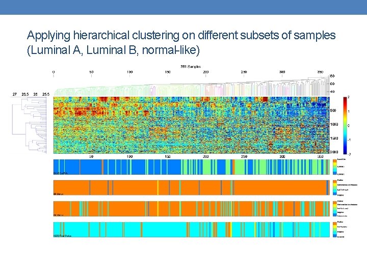 Applying hierarchical clustering on different subsets of samples (Luminal A, Luminal B, normal-like) 