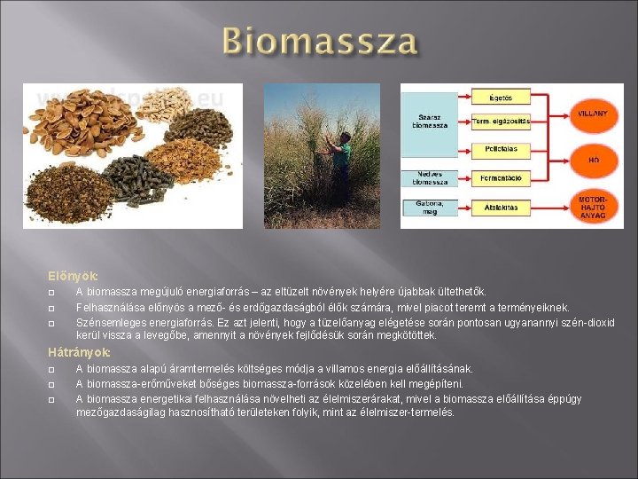 Előnyök: A biomassza megújuló energiaforrás – az eltüzelt növények helyére újabbak ültethetők. Felhasználása előnyös