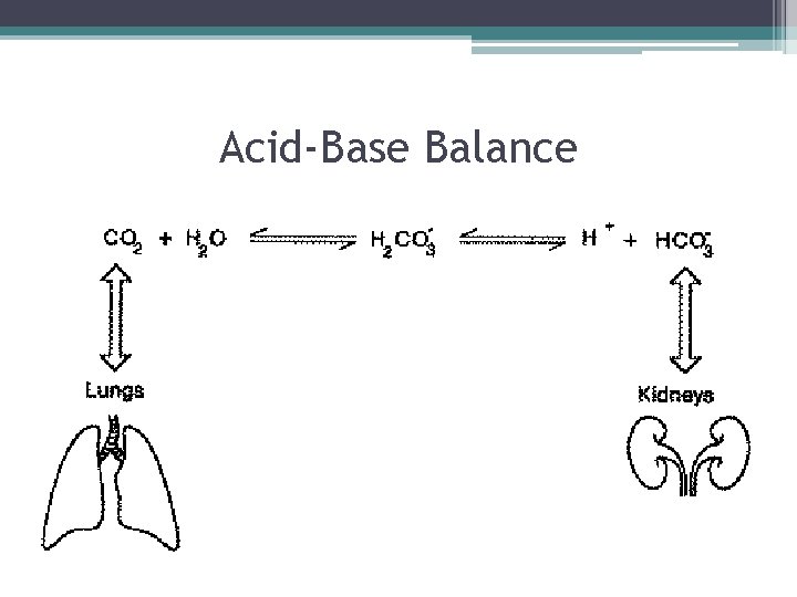 Acid-Base Balance 