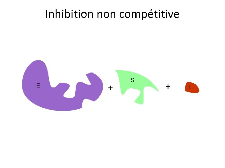 Inhibition non compétitive 