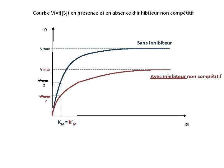 Courbe Vi=f([S]) en présence et en absence d’inhibiteur non compétitif Vi Sans inhibiteur Vmax