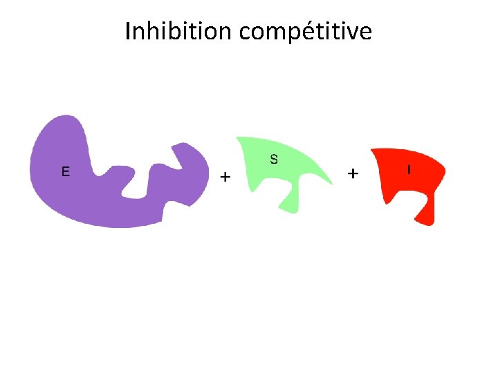 Inhibition compétitive 