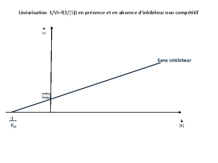 Linéarisation 1/Vi=f(1/[S]) en présence et en absence d’inhibiteur non compétitif 1 Vi Sans inhibiteur