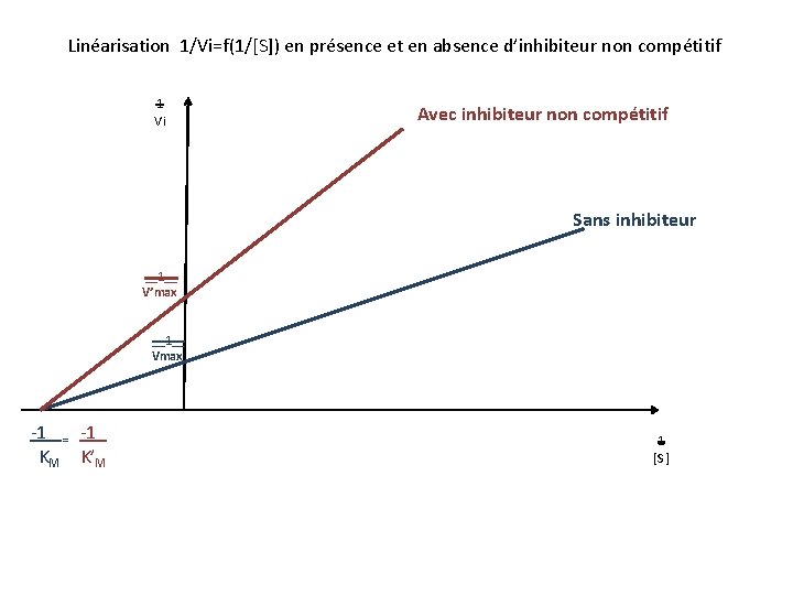 Linéarisation 1/Vi=f(1/[S]) en présence et en absence d’inhibiteur non compétitif 1 Vi Avec inhibiteur