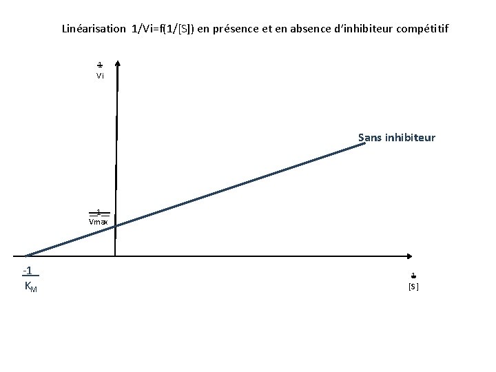 Linéarisation 1/Vi=f(1/[S]) en présence et en absence d’inhibiteur compétitif 1 Vi Sans inhibiteur __1__