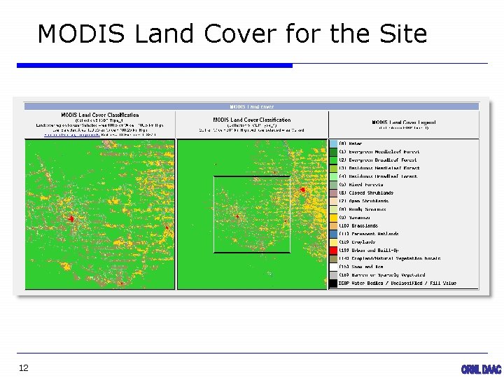 MODIS Land Cover for the Site 12 