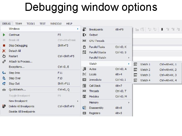 Debugging window options 