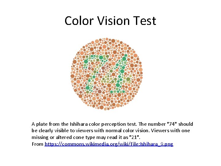 Color Vision Test A plate from the Ishihara color perception test. The number "74"