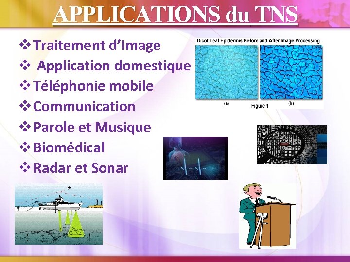 APPLICATIONS du TNS v Traitement d’Image v Application domestique v Téléphonie mobile v Communication