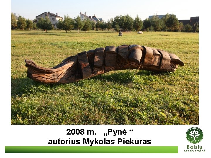 2008 m. „Pynė “ autorius Mykolas Piekuras 