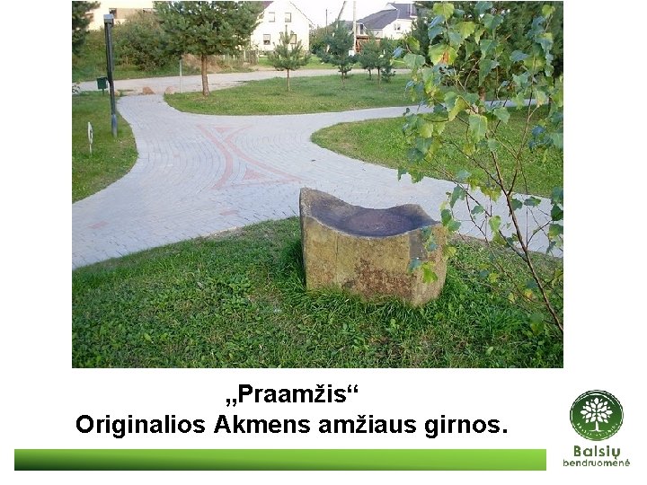 „Praamžis“ Originalios Akmens amžiaus girnos. 