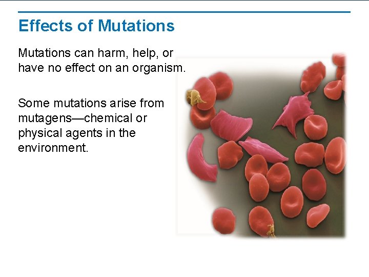 Effects of Mutations can harm, help, or have no effect on an organism. Some