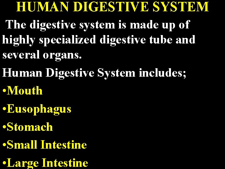 HUMAN DIGESTIVE SYSTEM The digestive system is made up of highly specialized digestive tube