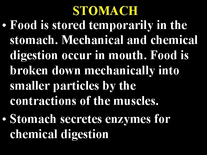 STOMACH • Food is stored temporarily in the stomach. Mechanical and chemical digestion occur