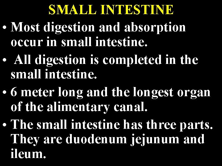 SMALL INTESTINE • Most digestion and absorption occur in small intestine. • All digestion