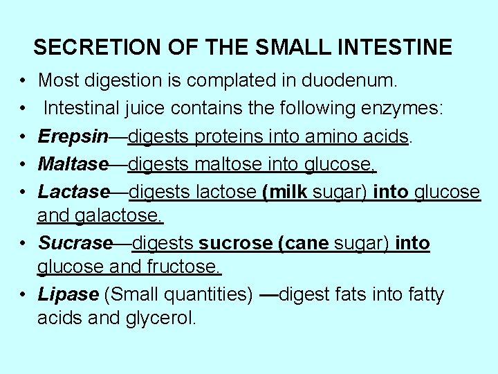 SECRETION OF THE SMALL INTESTINE • • • Most digestion is complated in duodenum.