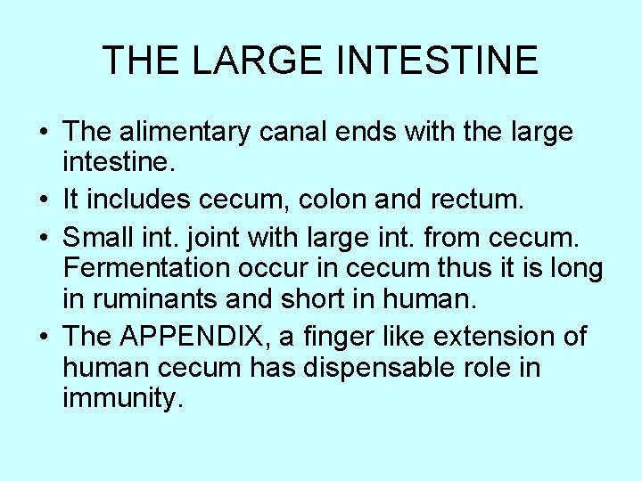 THE LARGE INTESTINE • The alimentary canal ends with the large intestine. • It