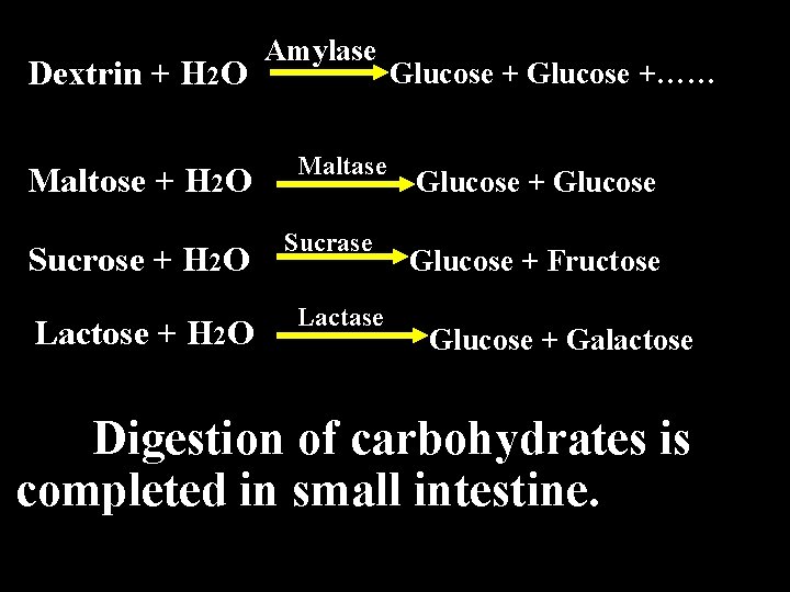 Dextrin + H 2 O Maltose + H 2 O Sucrose + H 2