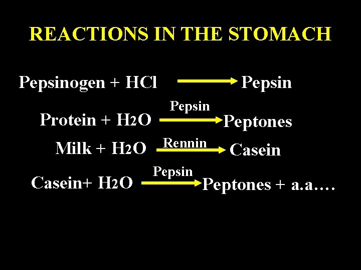 REACTIONS IN THE STOMACH Pepsinogen + HCl Protein + H 2 O Milk +