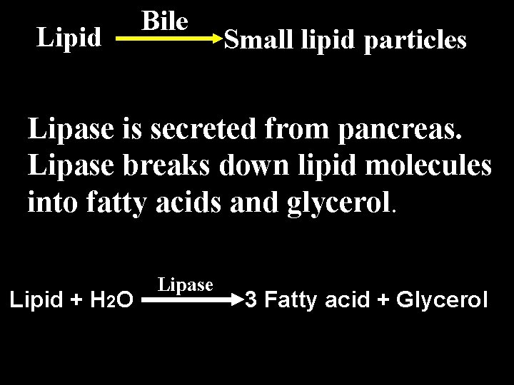 Lipid Bile Small lipid particles Lipase is secreted from pancreas. Lipase breaks down lipid