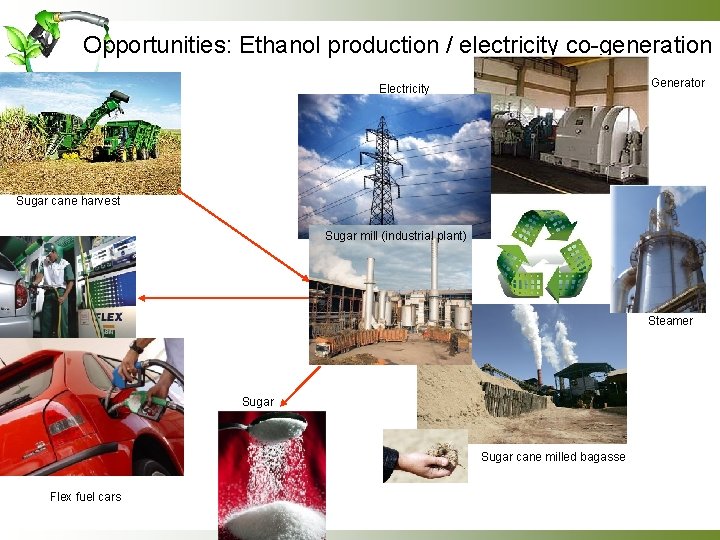 Opportunities: Ethanol production / electricity co-generation Generator Electricity Sugar cane harvest Sugar mill (industrial