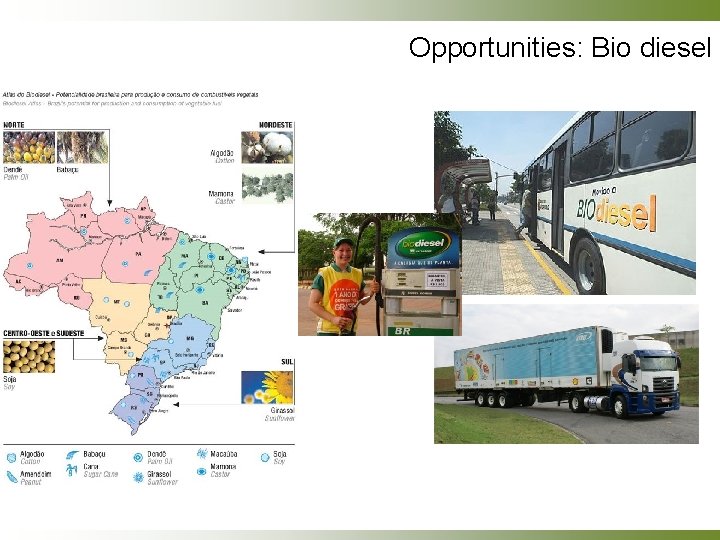 Opportunities: Bio diesel 