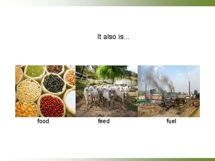 It also is. . . food feed fuel 