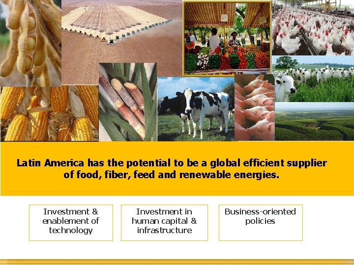 Latin America has the potential to be a global efficient supplier of food, fiber,