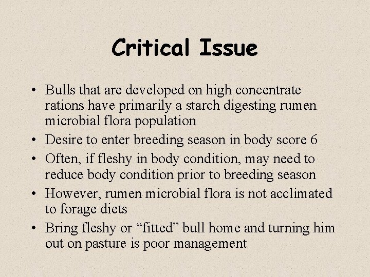 Critical Issue • Bulls that are developed on high concentrate rations have primarily a