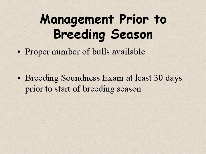 Management Prior to Breeding Season • Proper number of bulls available • Breeding Soundness
