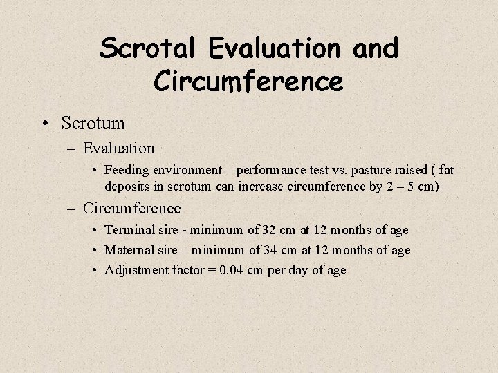 Scrotal Evaluation and Circumference • Scrotum – Evaluation • Feeding environment – performance test