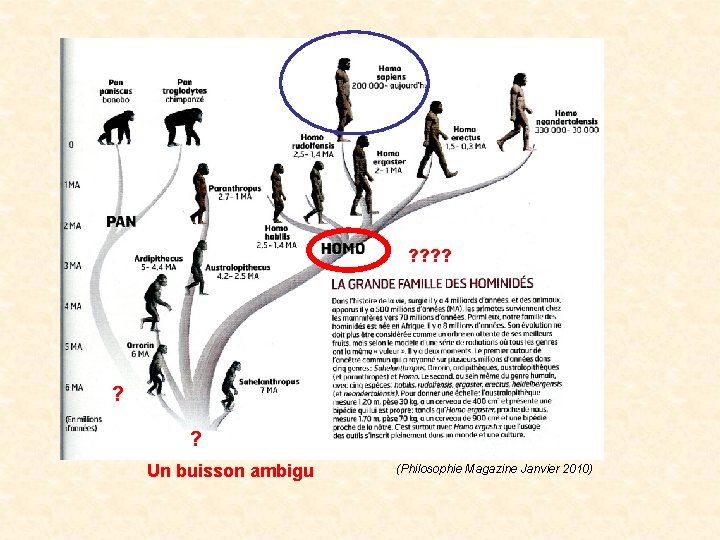 ? ? Un buisson ambigu (Philosophie Magazine Janvier 2010) ? ? Un buisson ambigu (Philosophie Magazine Janvier 2010)