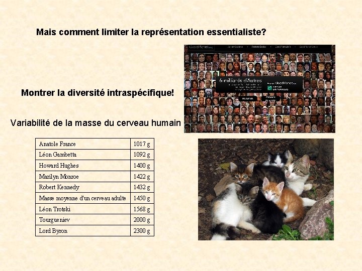 Mais comment limiter la représentation essentialiste? Montrer la diversité intraspécifique! Variabilité de la masse Mais comment limiter la représentation essentialiste? Montrer la diversité intraspécifique! Variabilité de la masse
