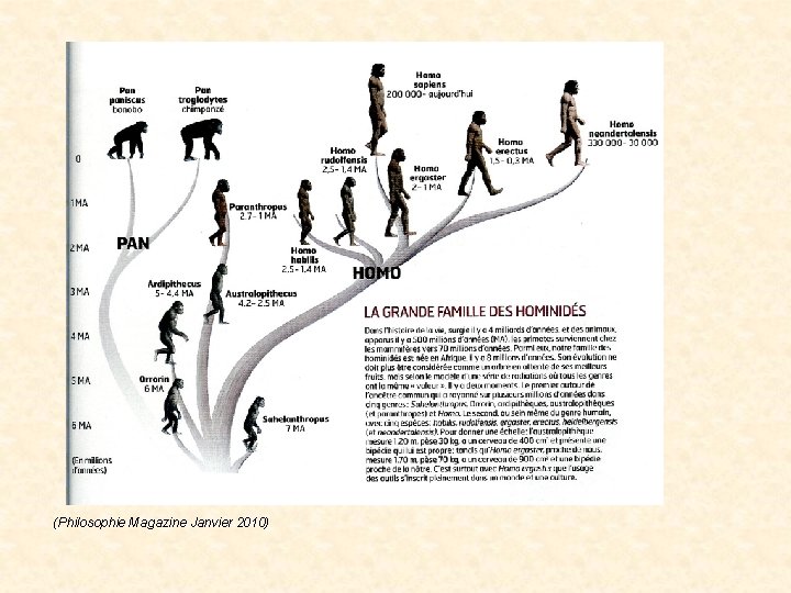 (Philosophie Magazine Janvier 2010) (Philosophie Magazine Janvier 2010)