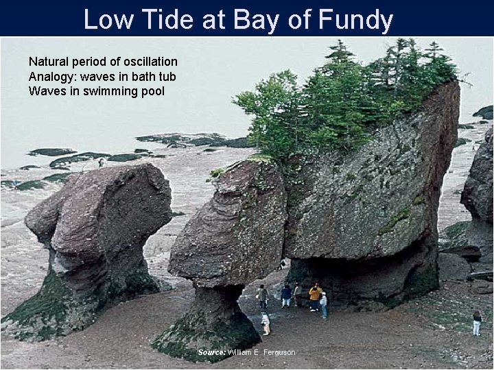 Low Tide at Bay of Fundy Natural period of oscillation Analogy: waves in bath