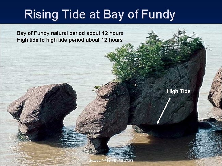 Rising Tide at Bay of Fundy natural period about 12 hours High tide to