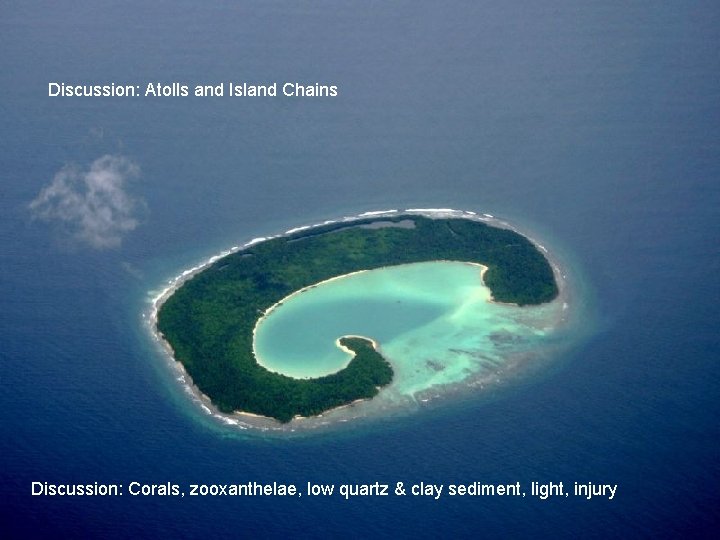 Discussion: Atolls and Island Chains Discussion: Corals, zooxanthelae, low quartz & clay sediment, light,