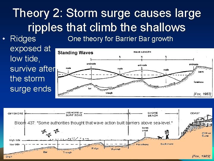Theory 2: Storm surge causes large ripples that climb the shallows • Ridges exposed