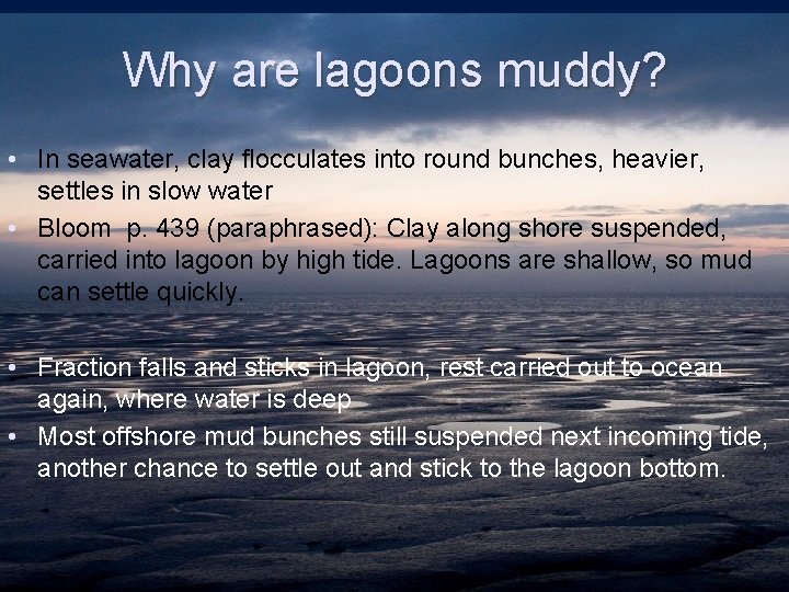 Why are lagoons muddy? • In seawater, clay flocculates into round bunches, heavier, settles