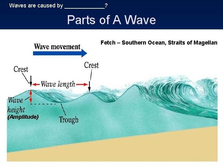 Waves are caused by _______? Parts of A Wave Fetch – Southern Ocean, Straits