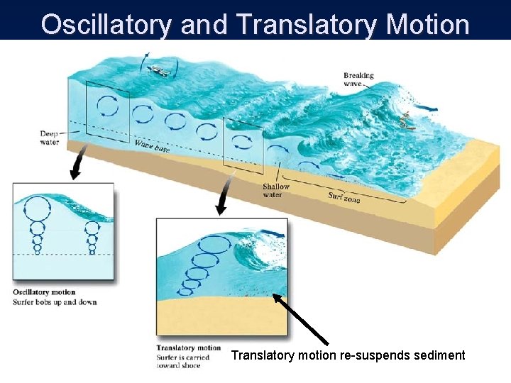 Oscillatory and Translatory Motion Translatory motion re-suspends sediment 